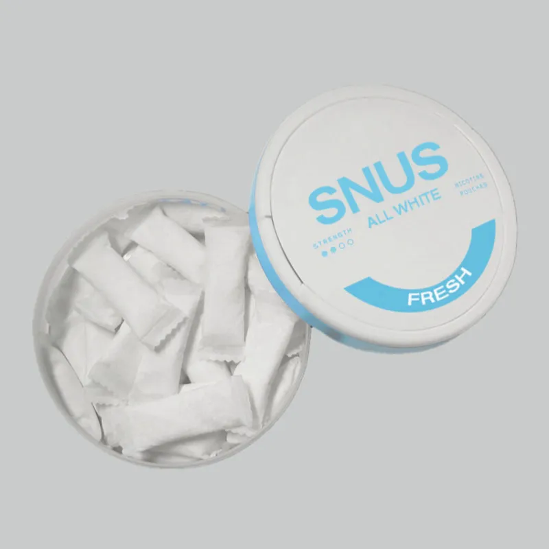 Fabricant de tissu non tissé filtre snus